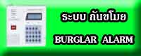 кѹ Burglar Alarm